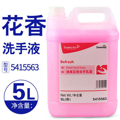庄臣泰华施 清爽花香洗手液 5415563|天津庄臣